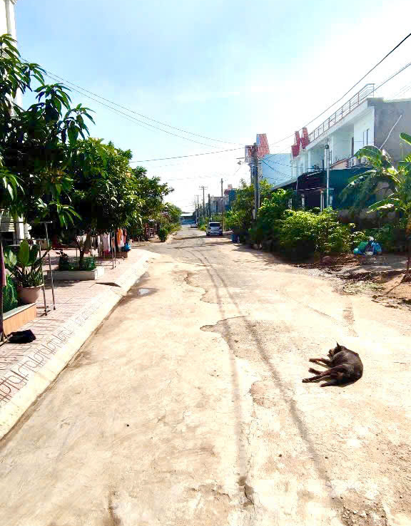 mua nhà tân hạnh