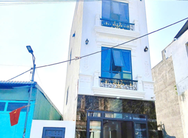 nhà bán tân hạnh