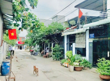 bán nhà đường đông an