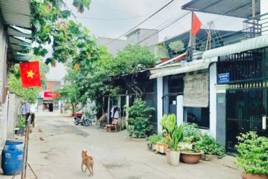 bán nhà đường đông an