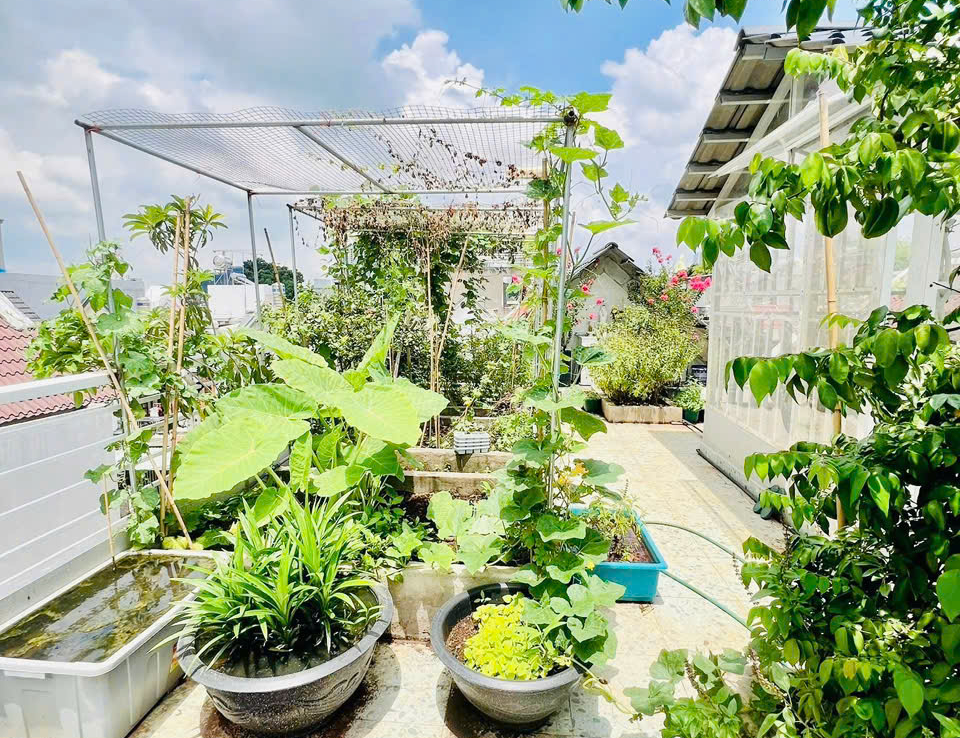 nhà bán phường bình an